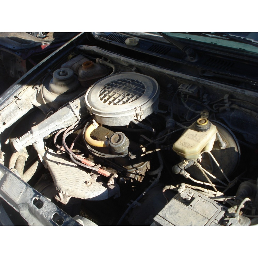 Motor completo Ford Fiesta 1.1 Mk3
